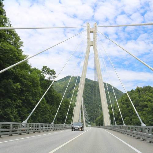 Photo #13410588