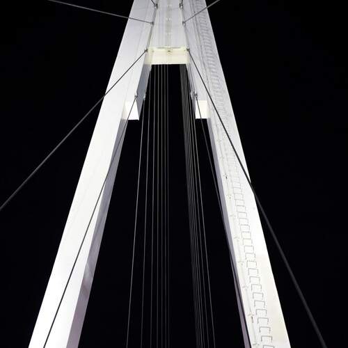 Photo #13410917