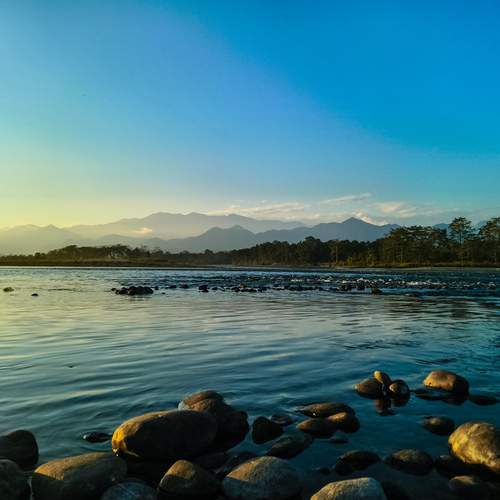 Photo #13410983