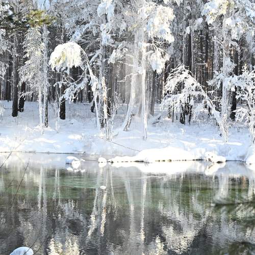 Photo #13411010