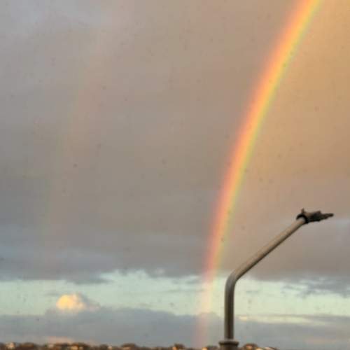 Photo #13411049