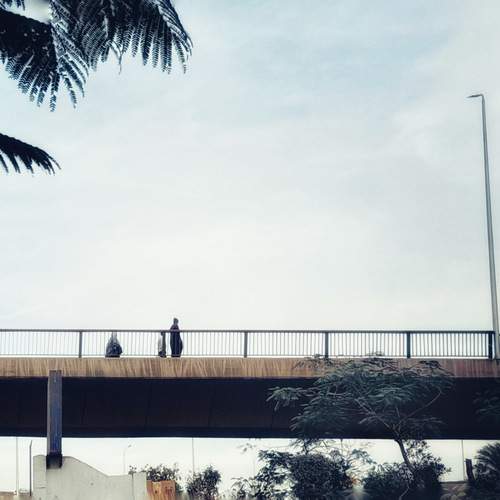 Photo #13411199