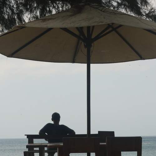 Photo #13411212