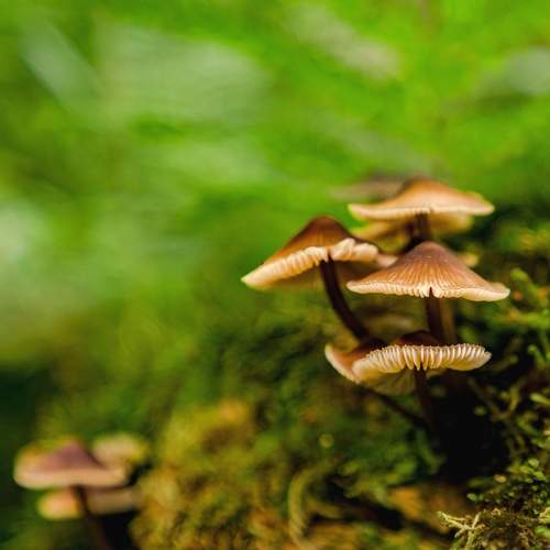 Photo #13411278
