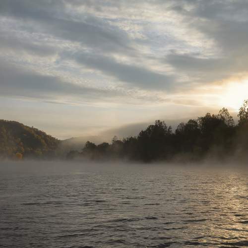 Photo #13411343