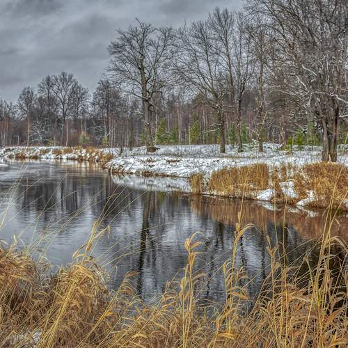 Photo #13411407