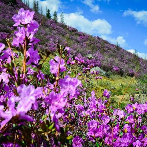 Photo #13411520