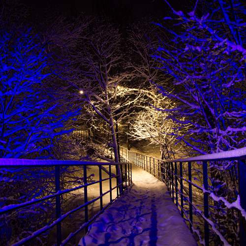 Фотография #13411622