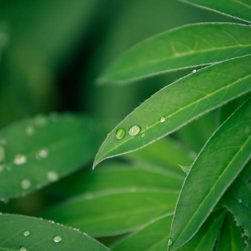 Photo #13411675