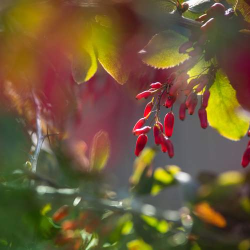 Photo #13411676