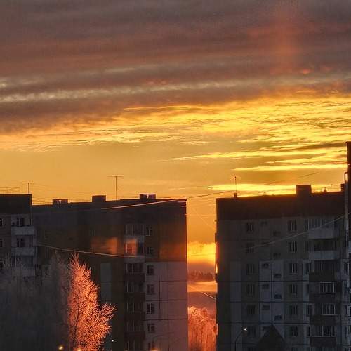 Photo #13411724
