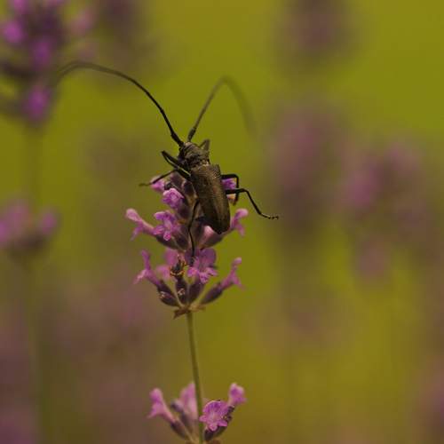 Photo #13411757