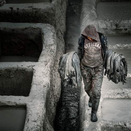 Фотография #13411831