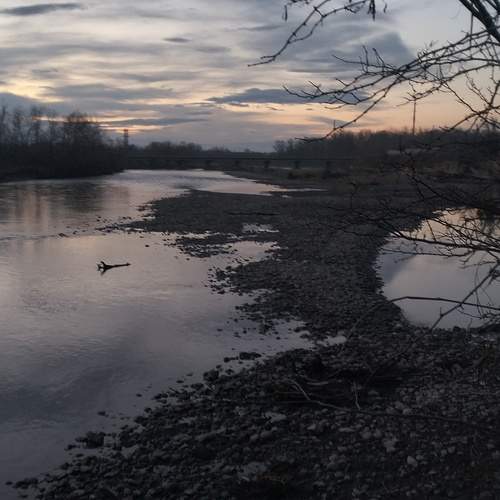 Photo #13411836