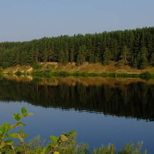 Photo #13411857