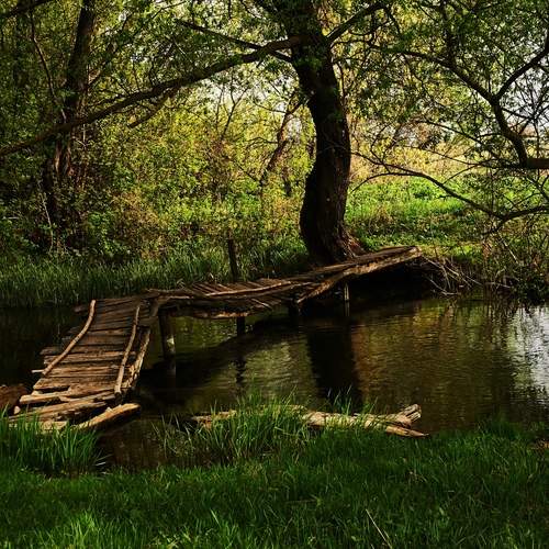 Photo #13411959