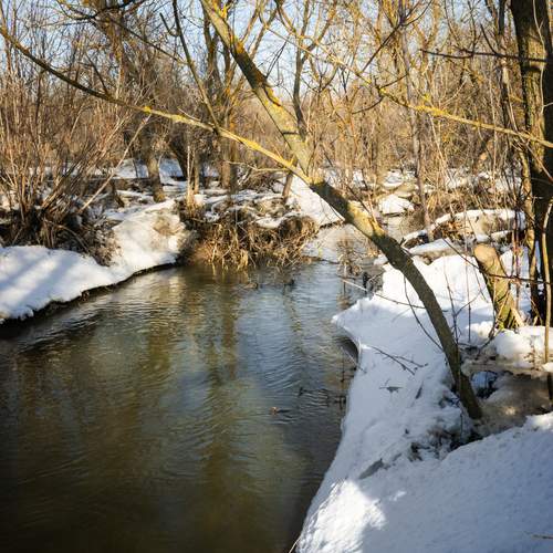 Thawed River