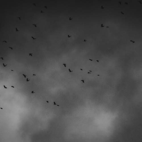 Photo #13412087