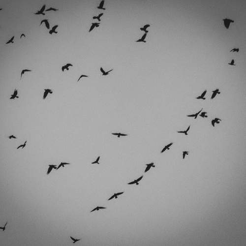 Photo #13412090
