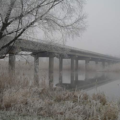 Photo #13412239