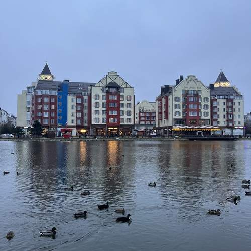 Photo #13412285