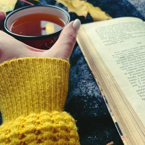 Photo #13412293