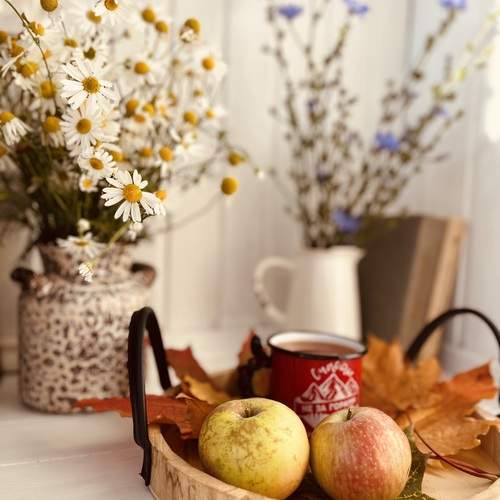 Photo #13412336