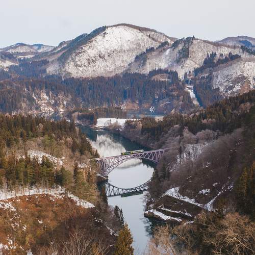 Photo #13412434