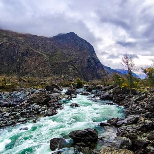 Photo #13412448