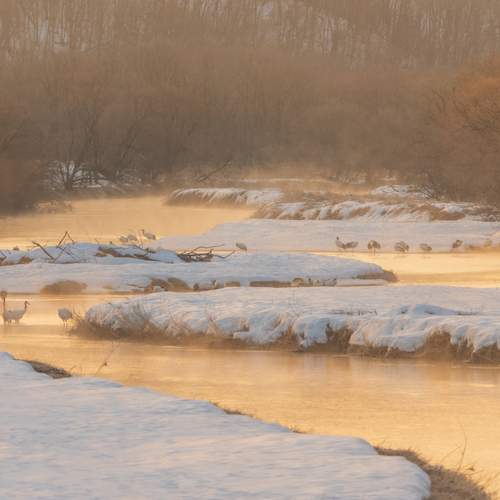 Photo #13412458
