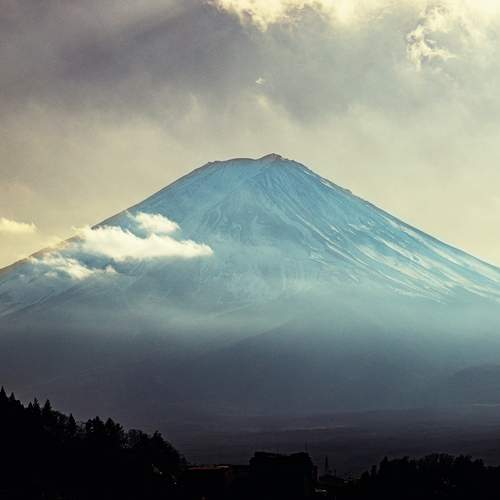 Photo #13412462