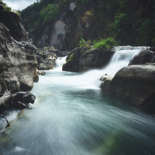 Photo #13412477