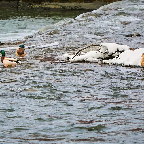 Photo #13412566