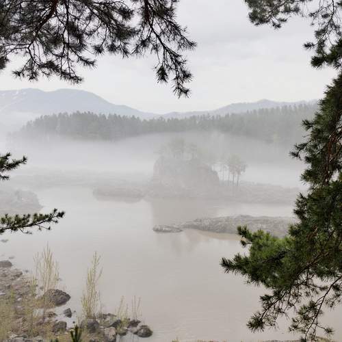 Photo #13412567