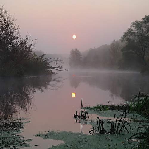 Photo #13412625