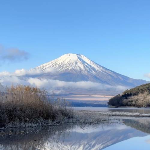 Photo #13412780