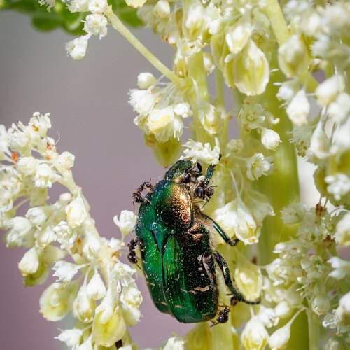 Фотография #13413163