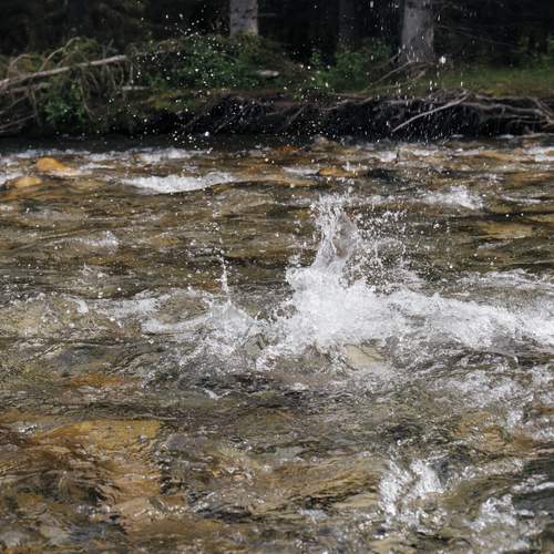 Photo #13413211