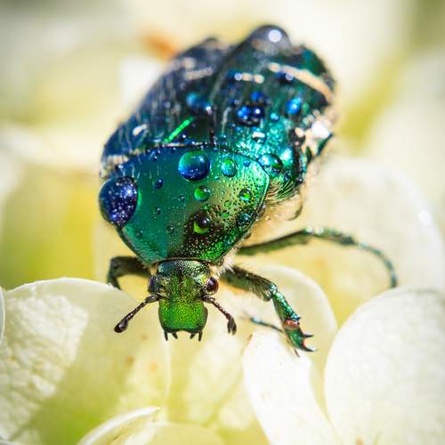 Фотография #13413235