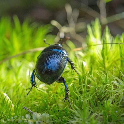 Фотография #13413241