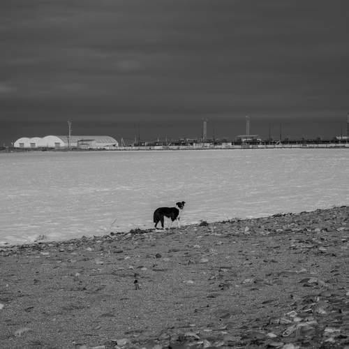 Photo #13413251