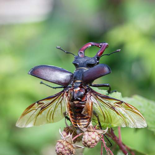 Фотография #13413317