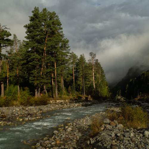 Photo #13413357