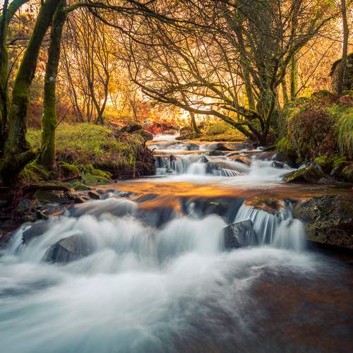 Фотография #13413379