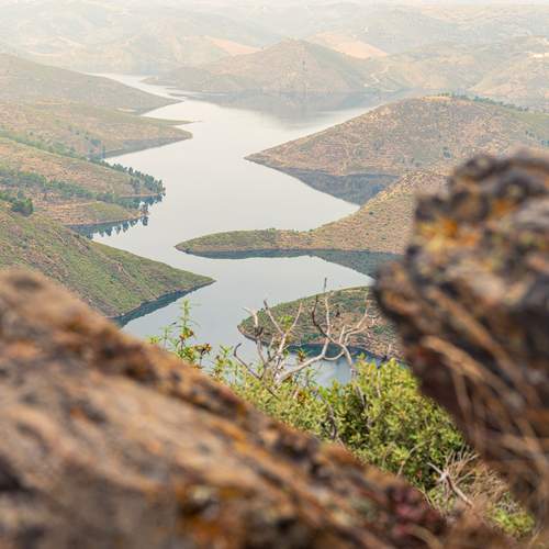 Фотография #13413470