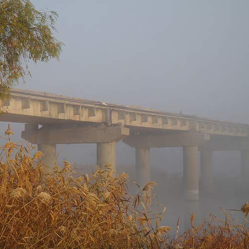 Photo #13413472