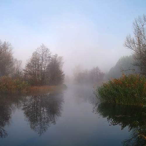 Photo #13413497