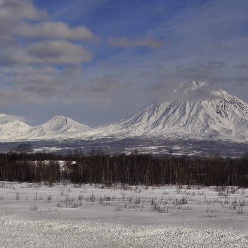 Photo #13413681