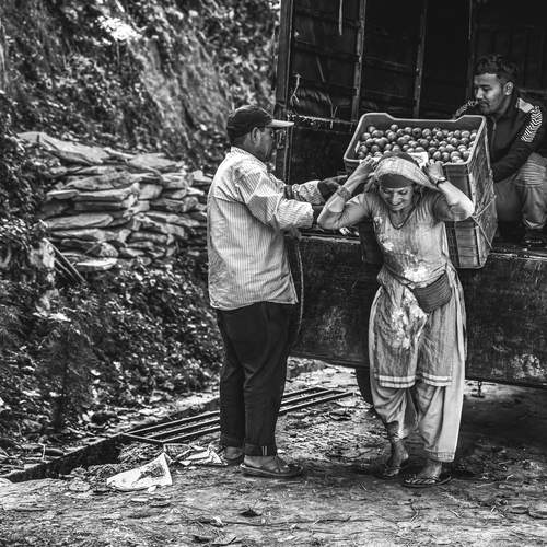 Фотография #13413708