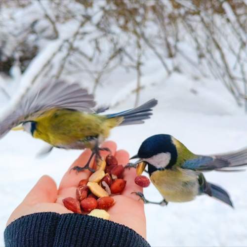 Photo #13413784
